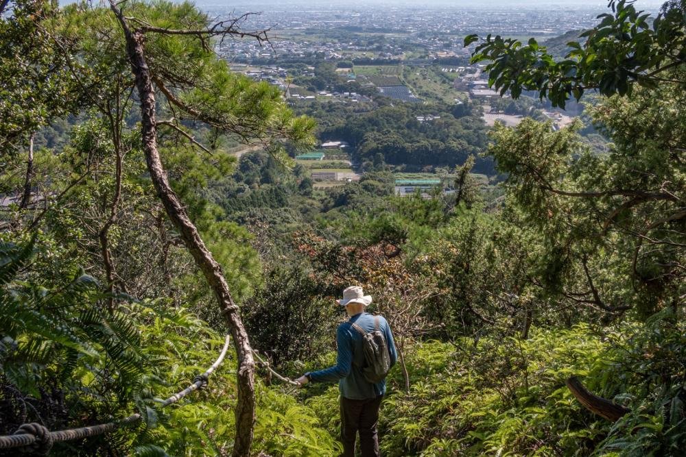🌳 도쿠시마현 문화의 숲 종합 공원 (토쿠시마켄분카노모리소고코엔) 이미지 4